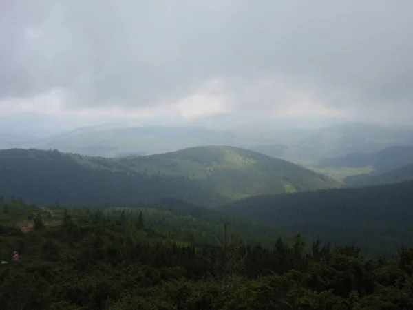 Montañas Verdes Colinas Niebla Cima Hoverla Los Cárpatos —  Fotos de Stock