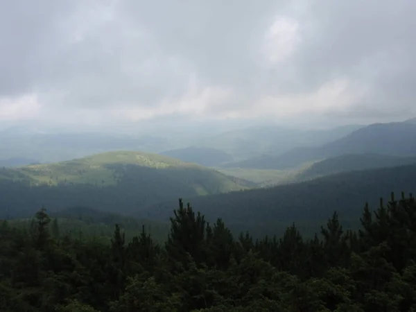 Dağlar Karpatlar Hoverla Üst Kısmında Siste Yeşil Tepeler — Stok fotoğraf