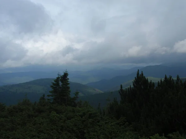 Dağlar Karpatlar Hoverla Üst Kısmında Siste Yeşil Tepeler — Stok fotoğraf