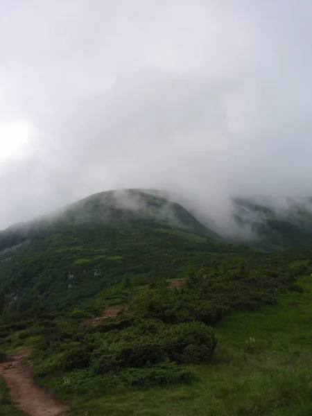 Dağlar Karpatlar Hoverla Üst Kısmında Siste Yeşil Tepeler — Stok fotoğraf