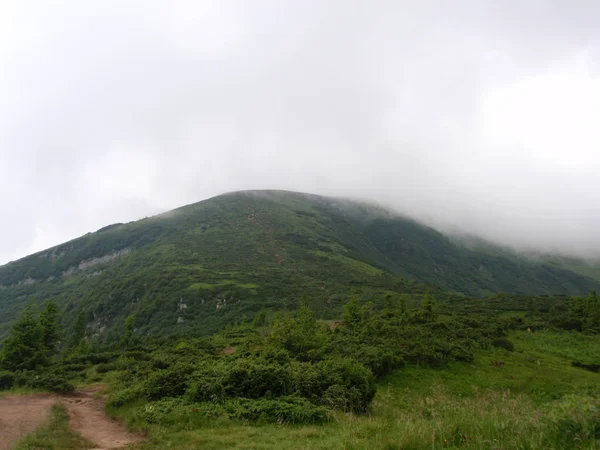 Montañas Verdes Colinas Niebla Cima Hoverla Los Cárpatos —  Fotos de Stock