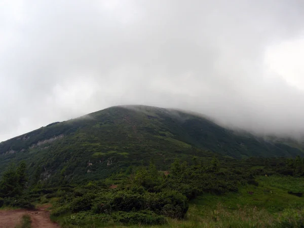 Dağlar Karpatlar Hoverla Üst Kısmında Siste Yeşil Tepeler — Stok fotoğraf