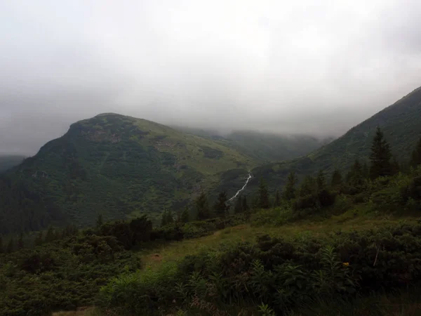 Dağlar Karpatlar Hoverla Üst Kısmında Siste Yeşil Tepeler — Stok fotoğraf