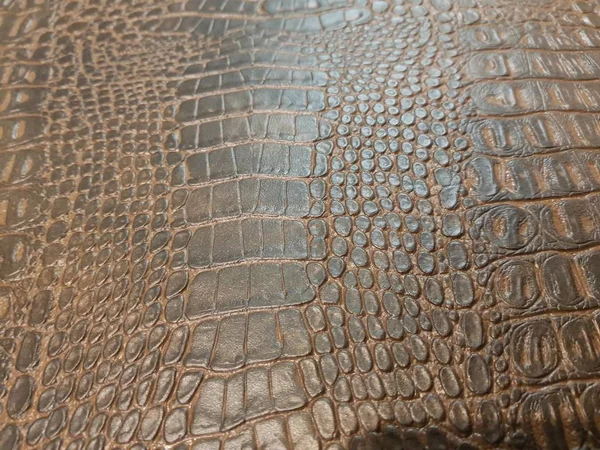 Красивая Текстура Кожи Крокодила — стоковое фото