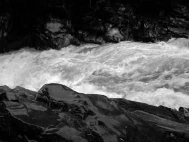 Sert kayalara eteklerinde Karpatlar nehirde