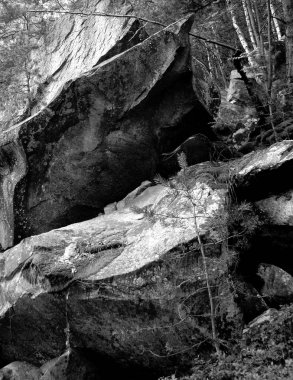 Büyük taş ve Ladin Karpatlar ormanında yolda