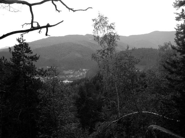 Schöne Aussicht Auf Die Karpaten Vom Berg Aus — Stockfoto