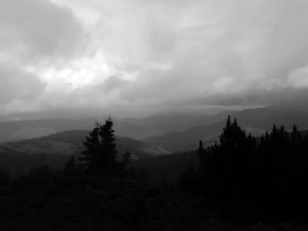 Dağlar Karpatlar Hoverla Üst Kısmında Siste Yeşil Tepeler — Stok fotoğraf