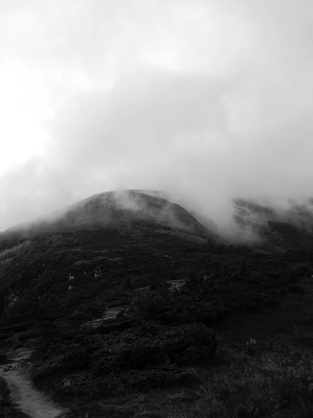 Гори Зелені Пагорби Тумані Вершині Говерла Карпатах — стокове фото