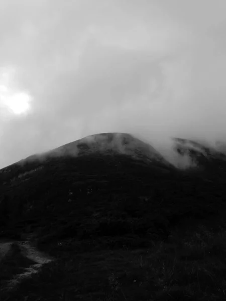 Βουνά Και Καταπράσινους Λόφους Στην Ομίχλη Στην Κορυφή Hoverla Στα — Φωτογραφία Αρχείου