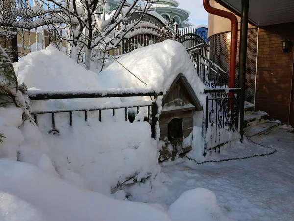 Cuccia Legno Sullo Sfondo Della Neve Inverno — Foto Stock