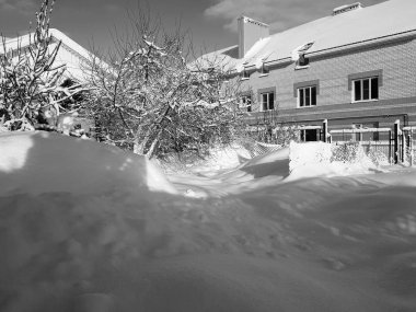 Güzel Noel ağaçları kar evin kışın yakınındaki.