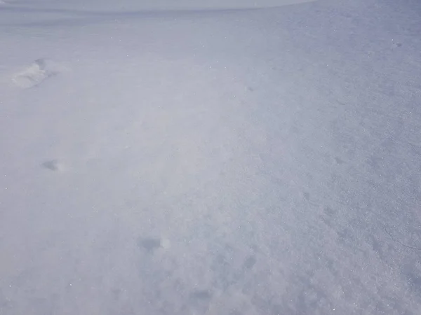 Stora snöiga fältet på vintern — Stockfoto