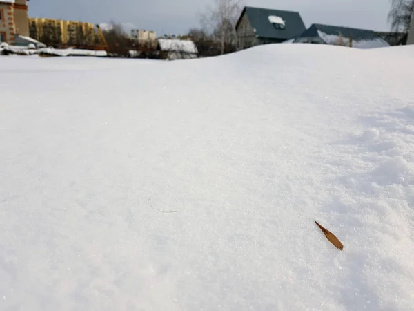 Stora snöiga fältet på vintern — Stockfoto