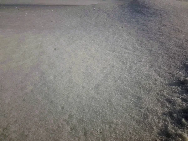 Grand champ neigeux en hiver — Photo