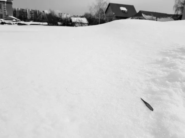 Большое снежное поле зимой — стоковое фото