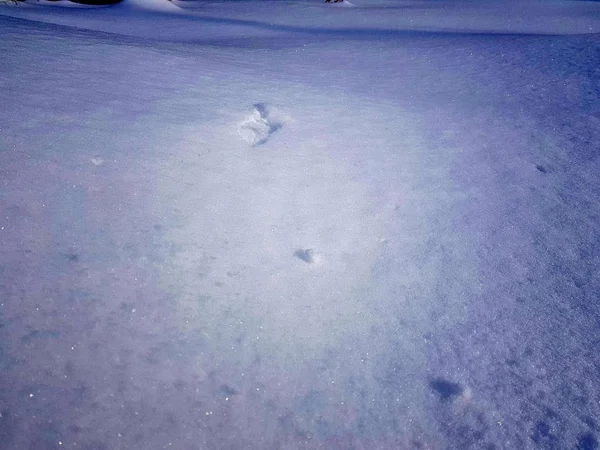 Schnee Und Ein Großes Verschneites Feld Winter — Stockfoto