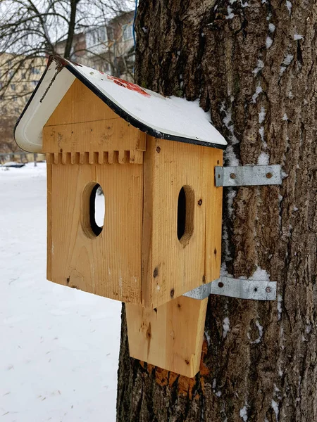 Piękne drewniane pudełko zagnieżdżenia lub podajnik ptak — Zdjęcie stockowe