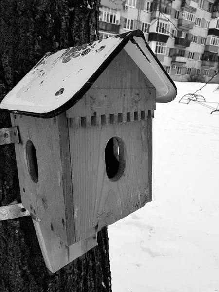 Красивая деревянная коробка для гнездования или кормушка для птиц — стоковое фото