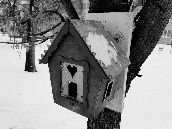 Cutie frumoasă de cuibărit din lemn sau alimentator de păsări — Fotografie, imagine de stoc