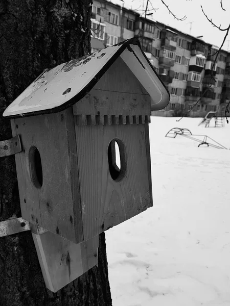 美しい木製のネスト ボックスまたは鳥の送り装置 — ストック写真