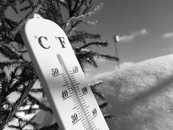 street thermometer with a temperature of Celsius and Fahrenheit in the snow next to a young pine