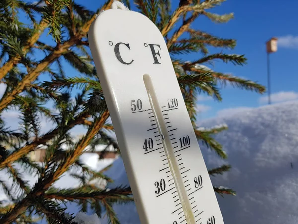 street thermometer with a temperature of Celsius and Fahrenheit in the snow next to a young pine