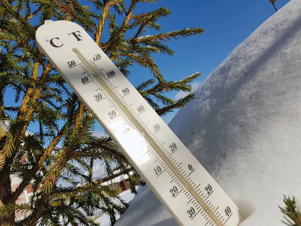 street thermometer with a temperature of Celsius and Fahrenheit in the snow next to a young pine