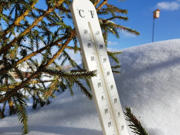 street thermometer with a temperature of Celsius and Fahrenheit in the snow next to a young pine