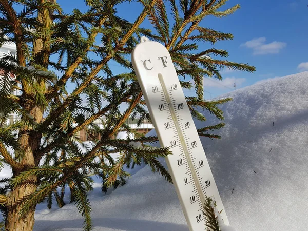 street thermometer with a temperature of Celsius and Fahrenheit in the snow next to a young pine