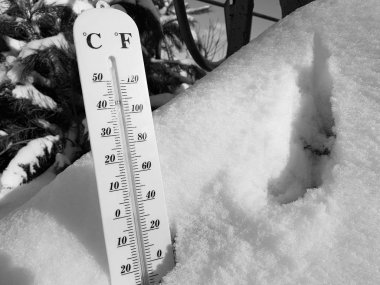 sokak termometre sıcaklığı Celsius ve Fahrenheit yanındaki genç çam karda ile