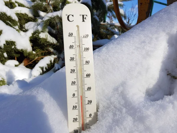 street thermometer with a temperature of Celsius and Fahrenheit in the snow next to a young pine