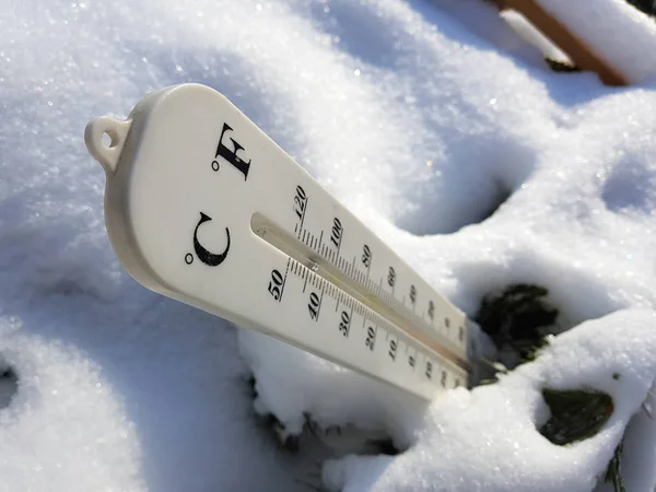 street thermometer with a temperature of Celsius and Fahrenheit in the snow next to a young pine