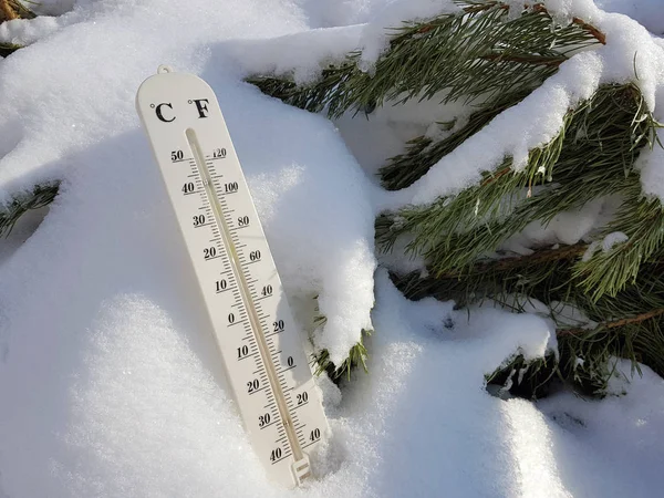 street thermometer with a temperature of Celsius and Fahrenheit in the snow next to a young pine