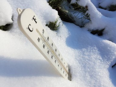 sokak termometre sıcaklığı Celsius ve Fahrenheit yanındaki genç çam karda ile