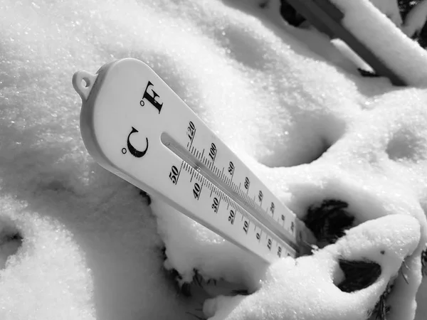 street thermometer with a temperature of Celsius and Fahrenheit in the snow next to a young pine