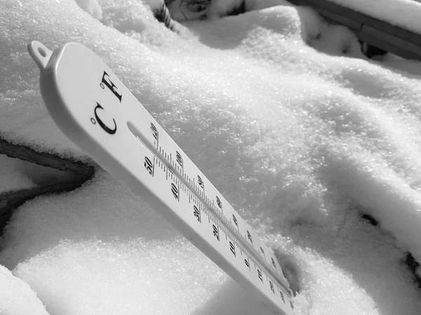 street thermometer with a temperature of Celsius and Fahrenheit in the snow next to a young pine