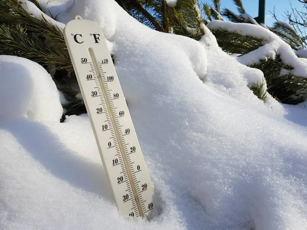 street thermometer with a temperature of Celsius and Fahrenheit in the snow next to a young pine