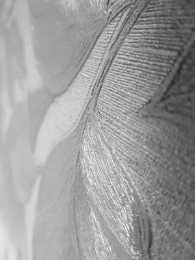 güzel yaprakları ile kabarık dekoratif arka plan güzel soyut doku