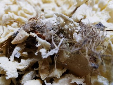 Onarım - köpük karo zemin üzerinde kırpma