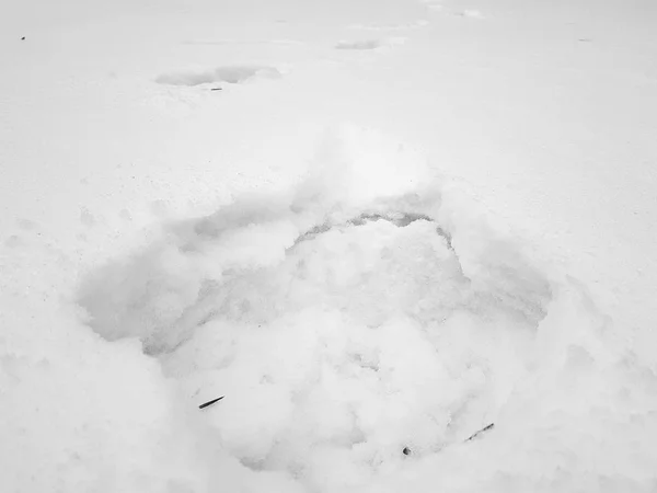 Красивые следы на снегу зимой — стоковое фото