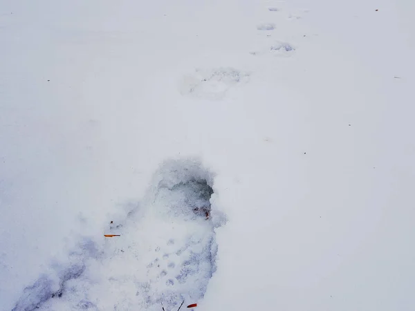 Mooie voetstappen in de sneeuw in de winter — Stockfoto