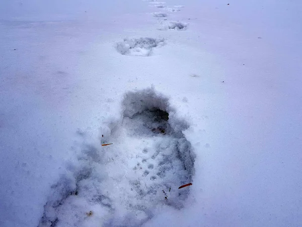 Schöne Fußabdrücke im Schnee im Winter — Stockfoto