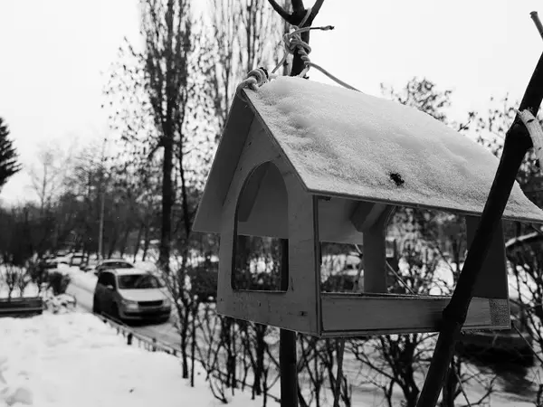 Una hermosa caja de anidación o alimentador de aves para el invierno en la nieve — Foto de Stock