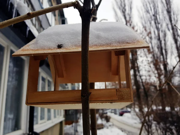 Una hermosa caja de anidación o alimentador de aves para el invierno en la nieve — Foto de Stock