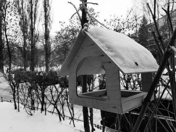 Una hermosa caja de anidación o alimentador de aves para el invierno en la nieve — Foto de Stock