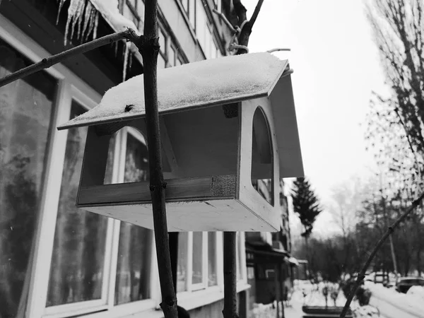 美しいネスト ボックスまたは雪の中で冬の鳥の送り装置 — ストック写真