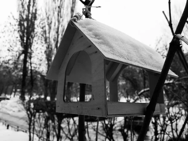 Una hermosa caja de anidación o alimentador de aves para el invierno en la nieve — Foto de Stock