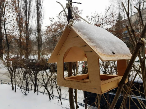 Kaunis pesimälaatikko tai linnunruokinta talvella lumessa — kuvapankkivalokuva