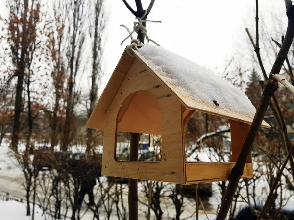 Una bella scatola di nidificazione o mangiatoia per uccelli per l'inverno sulla neve — Foto Stock